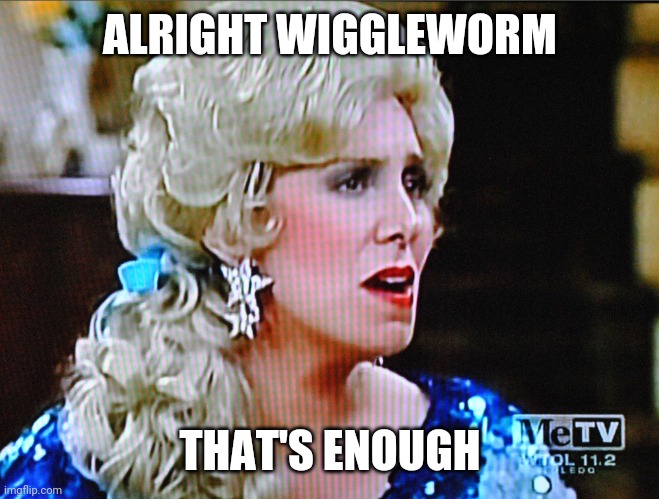 ALRIGHT WIGGLEWORM; THAT'S ENOUGH | made w/ Imgflip meme maker