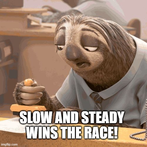 Slow sloth | SLOW AND STEADY WINS THE RACE! | image tagged in slow sloth | made w/ Imgflip meme maker