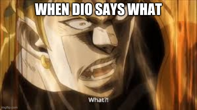 dio what | WHEN DIO SAYS WHAT | image tagged in dio what | made w/ Imgflip meme maker