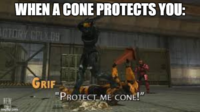 Protect me cone | WHEN A CONE PROTECTS YOU: | image tagged in protect me cone | made w/ Imgflip meme maker