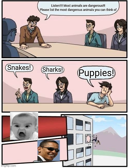 Puppies? | Listen!!!! Most animals are dangerous!!! Please list the most dangerous animals you can think of; Snakes! Sharks! Puppies! | image tagged in memes,boardroom meeting suggestion,puppies | made w/ Imgflip meme maker