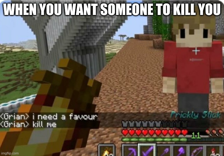 grian kill me | WHEN YOU WANT SOMEONE TO KILL YOU | image tagged in grian kill me | made w/ Imgflip meme maker