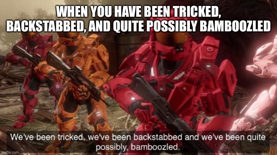 We have ben bamboozled halo | WHEN YOU HAVE BEEN TRICKED, BACKSTABBED, AND QUITE POSSIBLY BAMBOOZLED | image tagged in we have ben bamboozled halo | made w/ Imgflip meme maker