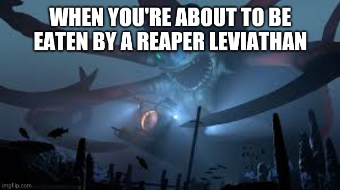 I have no life | WHEN YOU'RE ABOUT TO BE EATEN BY A REAPER LEVIATHAN | image tagged in reaper leviathan attack | made w/ Imgflip meme maker