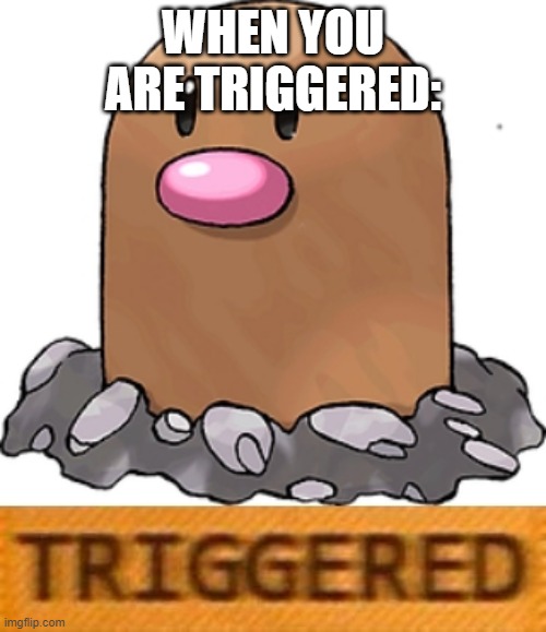 triggered diglett | WHEN YOU ARE TRIGGERED: | image tagged in triggered diglett | made w/ Imgflip meme maker