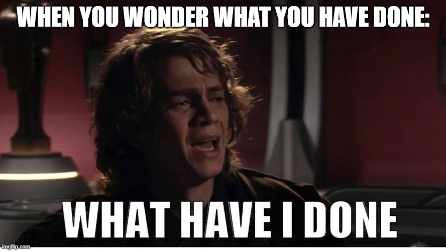Anakin what have i done | WHEN YOU WONDER WHAT YOU HAVE DONE: | image tagged in anakin what have i done | made w/ Imgflip meme maker