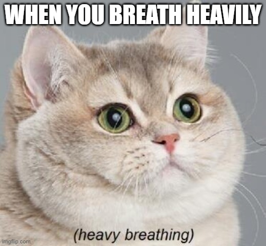 Heavy Breathing Cat Meme | WHEN YOU BREATH HEAVILY | image tagged in memes,heavy breathing cat | made w/ Imgflip meme maker