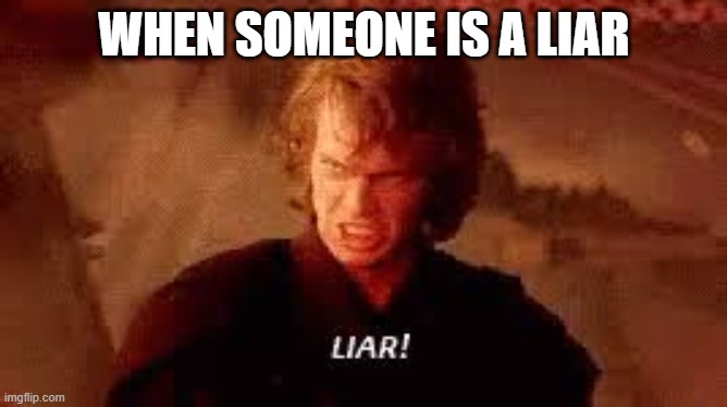 Anakin Liar | WHEN SOMEONE IS A LIAR | image tagged in anakin liar | made w/ Imgflip meme maker