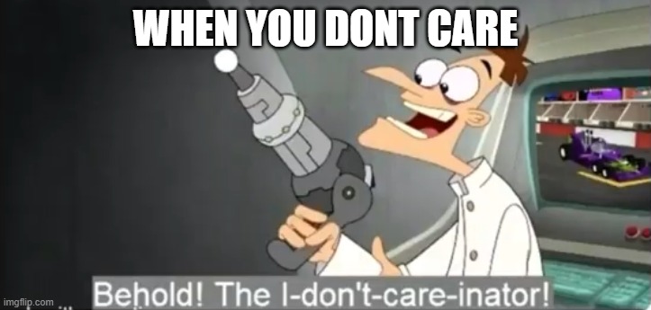 I dont care | WHEN YOU DONT CARE | image tagged in i dont care | made w/ Imgflip meme maker