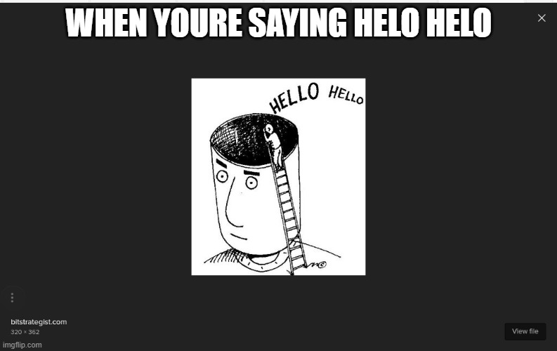 Leftest brain fuction | WHEN YOURE SAYING HELO HELO | image tagged in leftest brain fuction | made w/ Imgflip meme maker