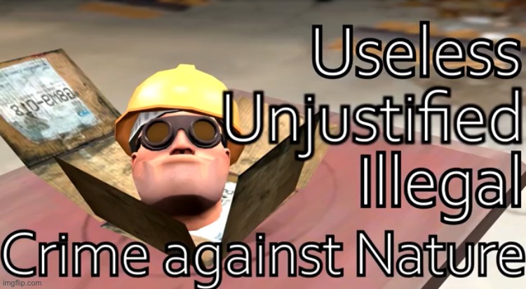 Useless, unjustified, illegal, crime against nature | image tagged in useless unjustified illegal crime against nature,custom template | made w/ Imgflip meme maker