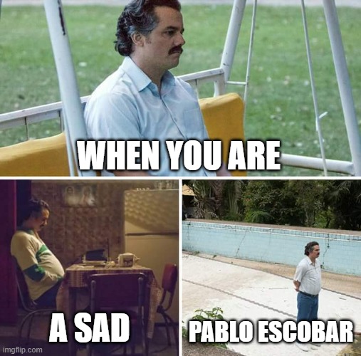 This ain't that good but ok | WHEN YOU ARE; A SAD; PABLO ESCOBAR | image tagged in memes,sad pablo escobar | made w/ Imgflip meme maker