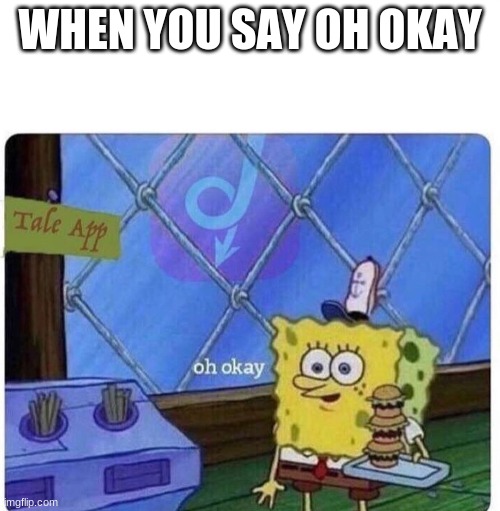 oh okay spongebob | WHEN YOU SAY OH OKAY | image tagged in oh okay spongebob | made w/ Imgflip meme maker