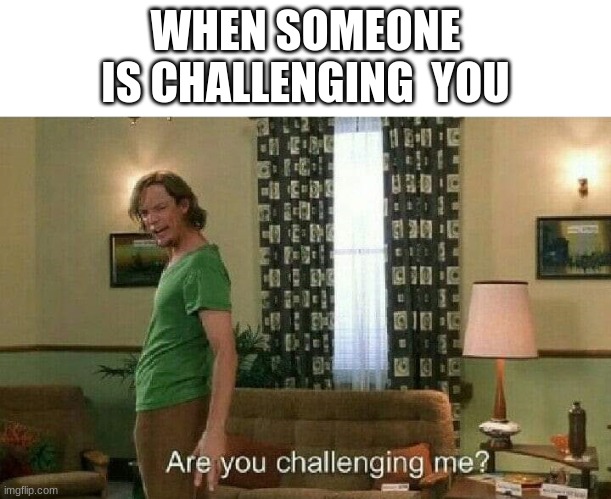 Are you challenging me? | WHEN SOMEONE IS CHALLENGING  YOU | image tagged in are you challenging me | made w/ Imgflip meme maker