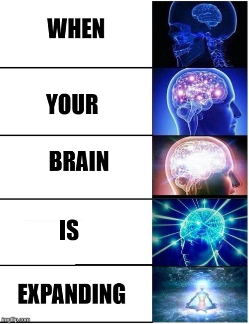 You prolly hv a brain tumor. | WHEN; YOUR; BRAIN; IS; EXPANDING | image tagged in expanding brain 5 panel | made w/ Imgflip meme maker
