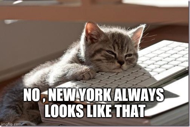 Bored Keyboard Cat | NO , NEW YORK ALWAYS 
LOOKS LIKE THAT | image tagged in bored keyboard cat | made w/ Imgflip meme maker