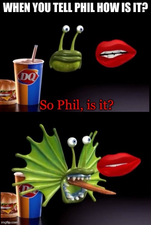 So Phil, is it? | WHEN YOU TELL PHIL HOW IS IT? | image tagged in so phil is it | made w/ Imgflip meme maker