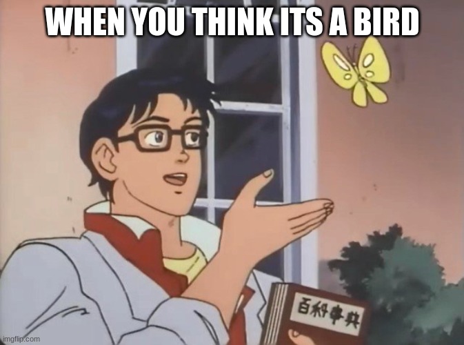 Is this a bird? | WHEN YOU THINK ITS A BIRD | image tagged in is this a bird | made w/ Imgflip meme maker