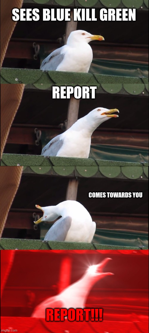 Amoung us | SEES BLUE KILL GREEN; REPORT; COMES TOWARDS YOU; REPORT!!! | image tagged in memes,inhaling seagull | made w/ Imgflip meme maker