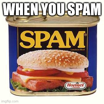 spam | WHEN YOU SPAM | image tagged in spam | made w/ Imgflip meme maker