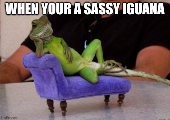 Eeeeeeeeeeeeeeeeeeeeeeeeeeeeeeeee | WHEN YOUR A SASSY IGUANA | image tagged in memes,sassy iguana | made w/ Imgflip meme maker