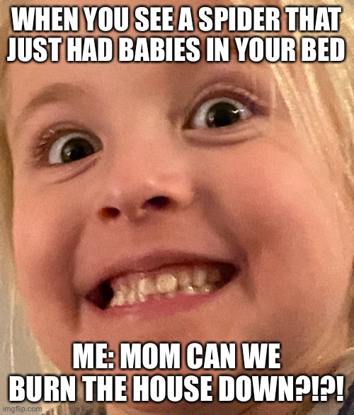 Spider meme :/ | WHEN YOU SEE A SPIDER THAT JUST HAD BABIES IN YOUR BED; ME: MOM CAN WE BURN THE HOUSE DOWN?!?! | image tagged in kermit the frog | made w/ Imgflip meme maker