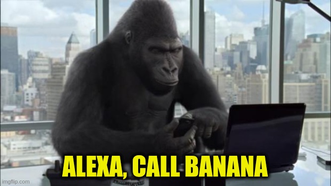 Important Gorilla | ALEXA, CALL BANANA | image tagged in office gorilla | made w/ Imgflip meme maker