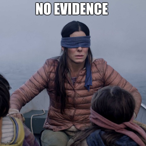 Maonstream media 2020 | NO EVIDENCE | image tagged in memes,bird box | made w/ Imgflip meme maker