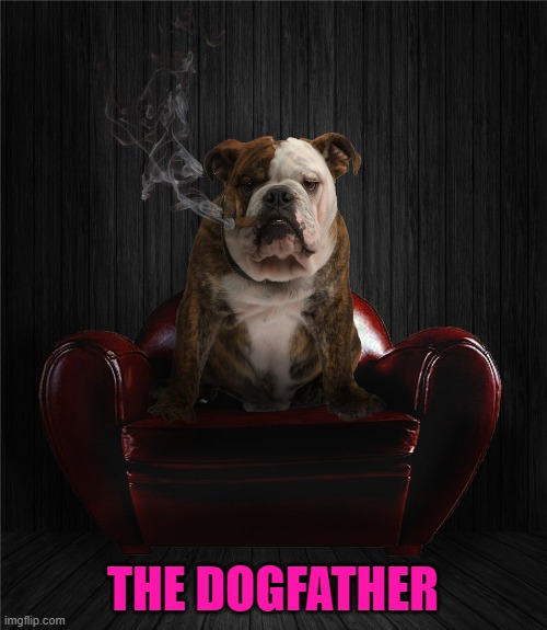 THE DOGFATHER | made w/ Imgflip meme maker