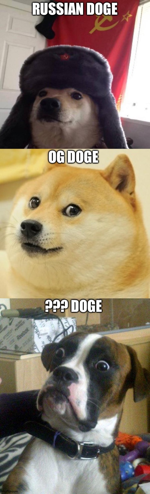 Alternative Doge | RUSSIAN DOGE; OG DOGE; ??? DOGE | image tagged in russian doge,memes,doge,blankie the shocked dog,alternative,dog | made w/ Imgflip meme maker