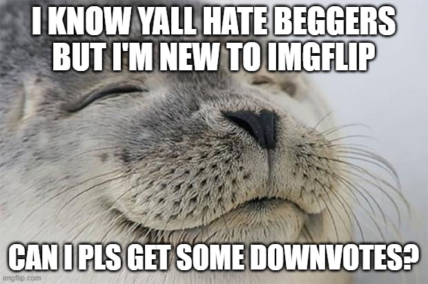 Satisfied Seal Meme | I KNOW YALL HATE BEGGERS
BUT I'M NEW TO IMGFLIP; CAN I PLS GET SOME DOWNVOTES? | image tagged in memes,satisfied seal | made w/ Imgflip meme maker