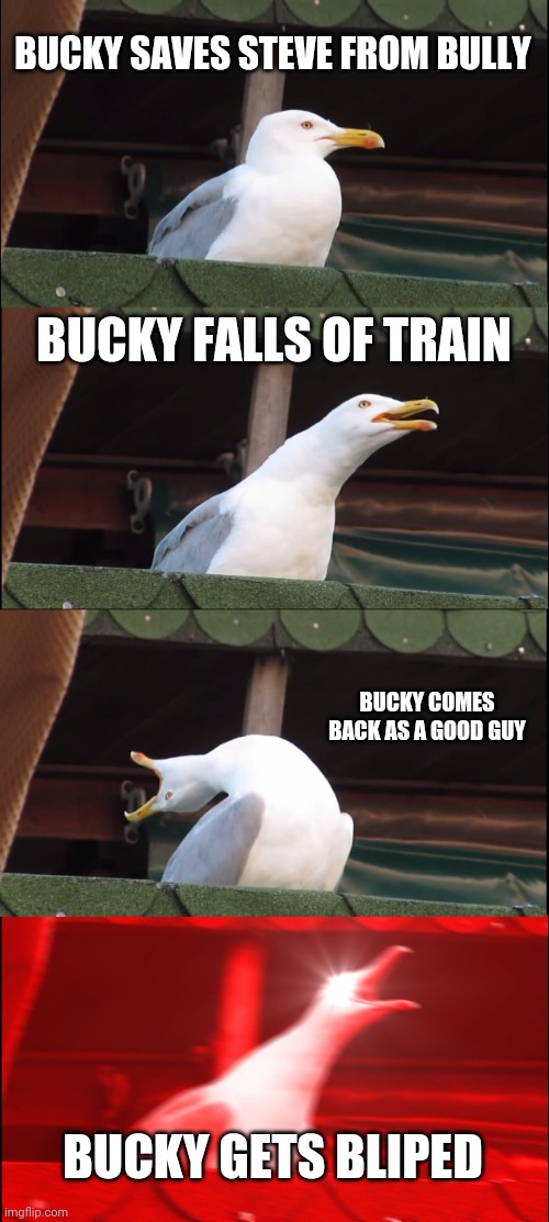 Inhaling Seagull | BUCKY SAVES STEVE FROM BULLY; BUCKY FALLS OF TRAIN; BUCKY COMES BACK AS A GOOD GUY; BUCKY GETS BLIPED | image tagged in memes,inhaling seagull | made w/ Imgflip meme maker