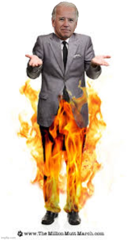 Pants On Fire | image tagged in pants on fire | made w/ Imgflip meme maker