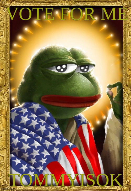 vote for me | VOTE FOR ME; TOMMYISOK | image tagged in real pepe frog,tommyisok,congress | made w/ Imgflip meme maker