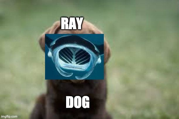 sorry if this offends you raydog… please note this was NOT photoshopped | RAY; DOG | image tagged in memes,raydog | made w/ Imgflip meme maker