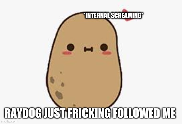 AAAAAAAAAAAAAAAAAAAAAAAAAAAAAAAAAAAAAA | *INTERNAL SCREAMING*; RAYDOG JUST FRICKING FOLLOWED ME | made w/ Imgflip meme maker