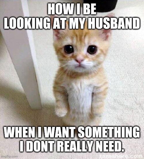 Cute Cat | HOW I BE LOOKING AT MY HUSBAND; WHEN I WANT SOMETHING I DONT REALLY NEED. | image tagged in memes,cute cat | made w/ Imgflip meme maker