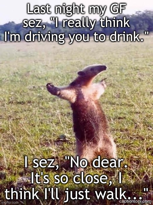 Mic drop anteater | Last night my GF sez, "I really think I'm driving you to drink."; I sez, "No dear. It's so close, I think I'll just walk..." | image tagged in anteater | made w/ Imgflip meme maker
