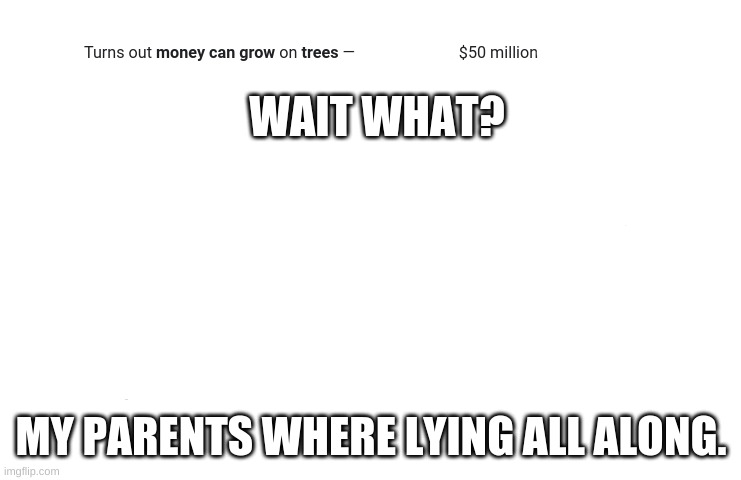 Money grows on trees? | WAIT WHAT? MY PARENTS WHERE LYING ALL ALONG. | image tagged in money,tree,together,lying,parents,too much | made w/ Imgflip meme maker
