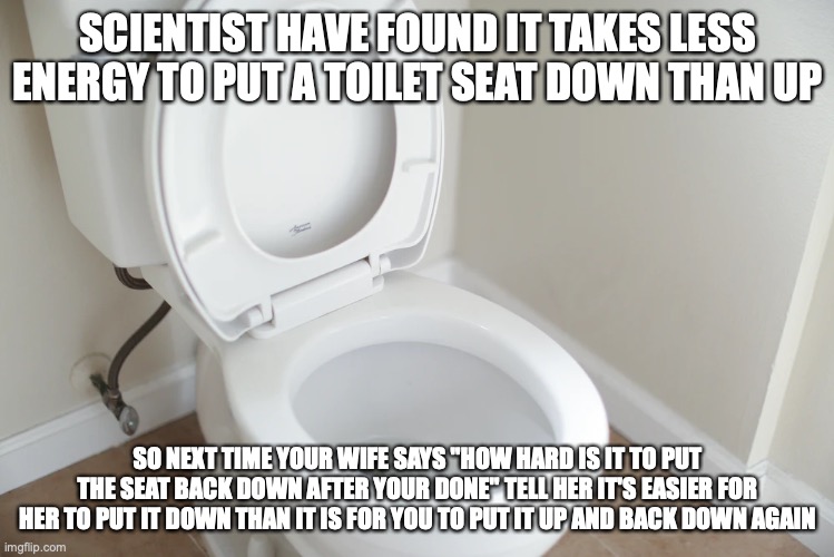 I love you but bite me honey! |  SCIENTIST HAVE FOUND IT TAKES LESS ENERGY TO PUT A TOILET SEAT DOWN THAN UP; SO NEXT TIME YOUR WIFE SAYS "HOW HARD IS IT TO PUT THE SEAT BACK DOWN AFTER YOUR DONE" TELL HER IT'S EASIER FOR HER TO PUT IT DOWN THAN IT IS FOR YOU TO PUT IT UP AND BACK DOWN AGAIN | image tagged in funny memes,funny,toilet humor,wife,toilet seat | made w/ Imgflip meme maker