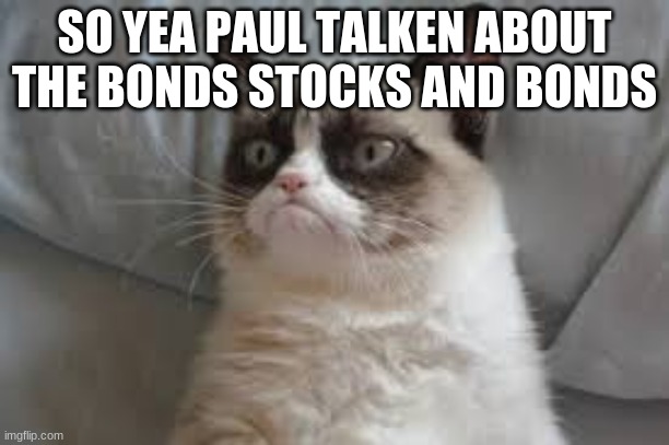 Grumpy cat | SO YEA PAUL TALKEN ABOUT THE BONDS STOCKS AND BONDS | image tagged in grumpy cat | made w/ Imgflip meme maker