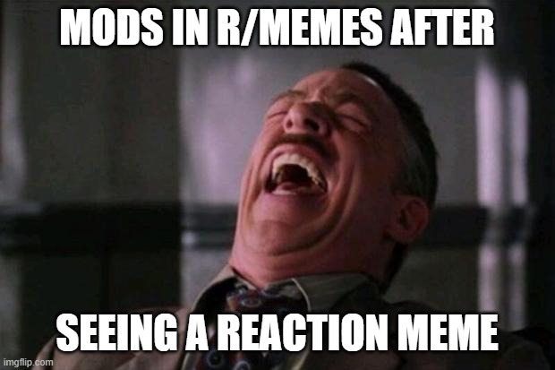 you know the rules and sooo do i | MODS IN R/MEMES AFTER; SEEING A REACTION MEME | image tagged in spider man boss | made w/ Imgflip meme maker