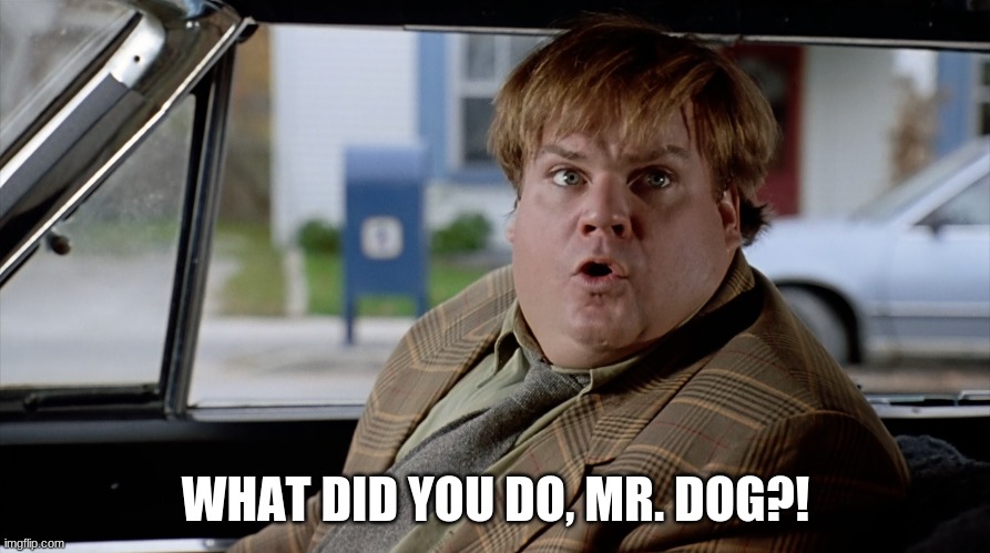 What did you do? | WHAT DID YOU DO, MR. DOG?! | image tagged in what did you do | made w/ Imgflip meme maker