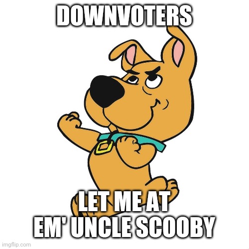 Scrappy Doo | DOWNVOTERS; LET ME AT EM' UNCLE SCOOBY | image tagged in scrappy doo | made w/ Imgflip meme maker