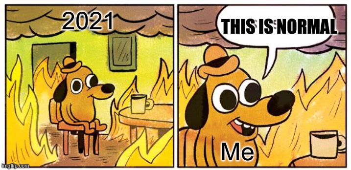 This Is Fine | THIS IS NORMAL; 2021; Me | image tagged in memes,this is fine | made w/ Imgflip meme maker