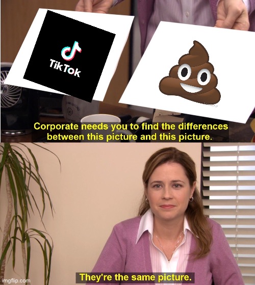 Tiktok is poop | image tagged in memes,they're the same picture,tiktok,poop,tiktok sucks,hell | made w/ Imgflip meme maker