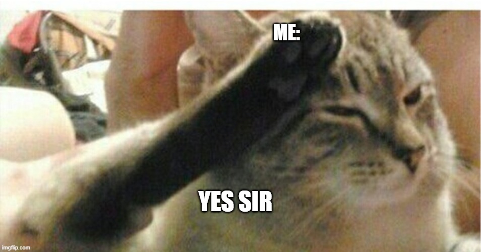 Cat of Honor | YES SIR ME: | image tagged in cat of honor | made w/ Imgflip meme maker