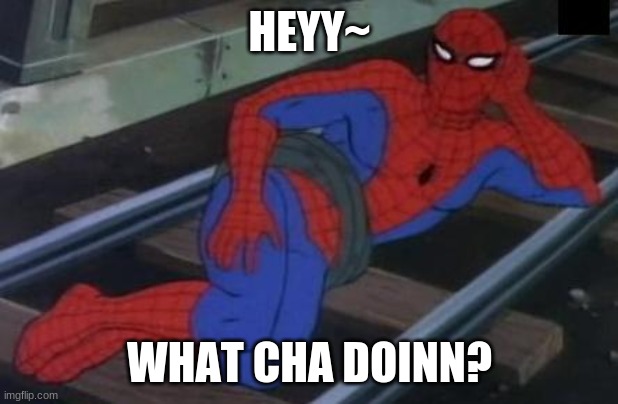 Sexy Railroad Spiderman Meme | HEYY~ WHAT CHA DOINN? | image tagged in memes,sexy railroad spiderman,spiderman | made w/ Imgflip meme maker