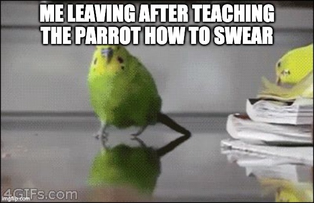 Explosion parakeet | ME LEAVING AFTER TEACHING THE PARROT HOW TO SWEAR | image tagged in explosion parakeet | made w/ Imgflip meme maker