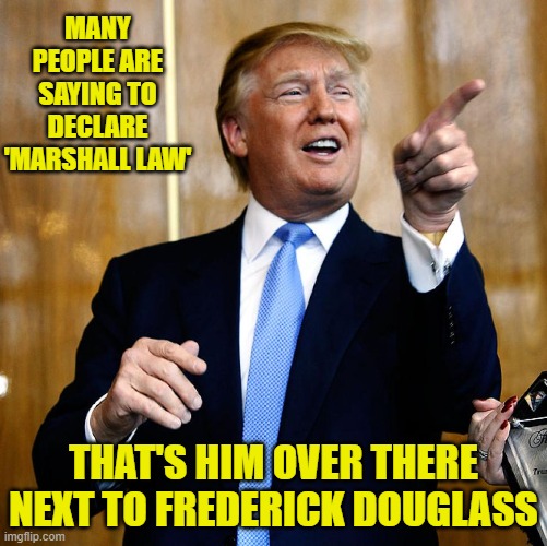 Marshall Law Is A Great Patriot Who Is Doing Many Fantastic Things In The Country.. | MANY PEOPLE ARE SAYING TO DECLARE 'MARSHALL LAW'; THAT'S HIM OVER THERE NEXT TO FREDERICK DOUGLASS | image tagged in donal trump birthday,donald trump,election 2020 | made w/ Imgflip meme maker
